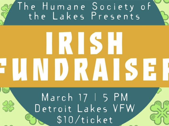 Irish Fundraiser – March 17